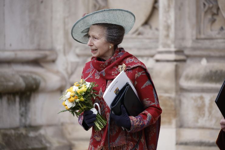 Commozione cerebrale per la principessa Anna